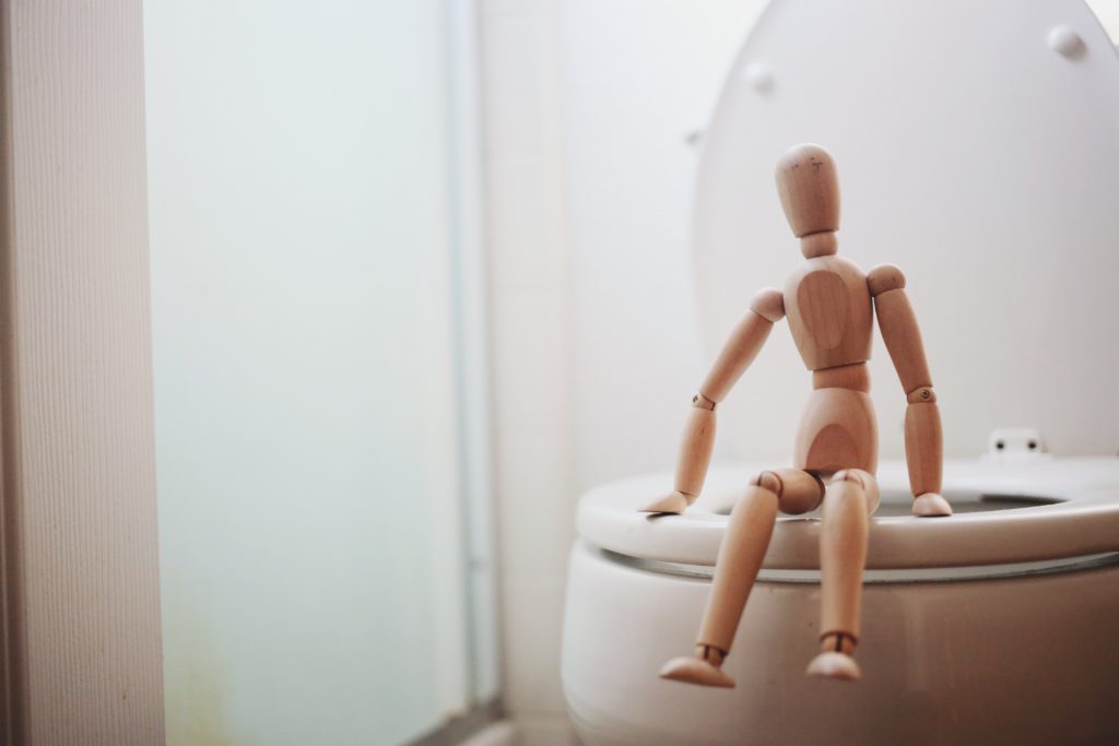 wooden toy person sits on a regular-sized toilet